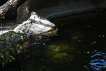 DSC_6932.JPG
